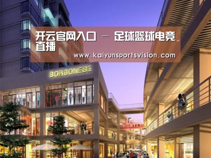 案例展示一(图1)