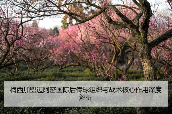 梅西加盟迈阿密国际后传球组织与战术核心作用深度解析