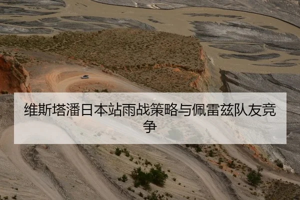 维斯塔潘日本站雨战策略与佩雷兹队友竞争