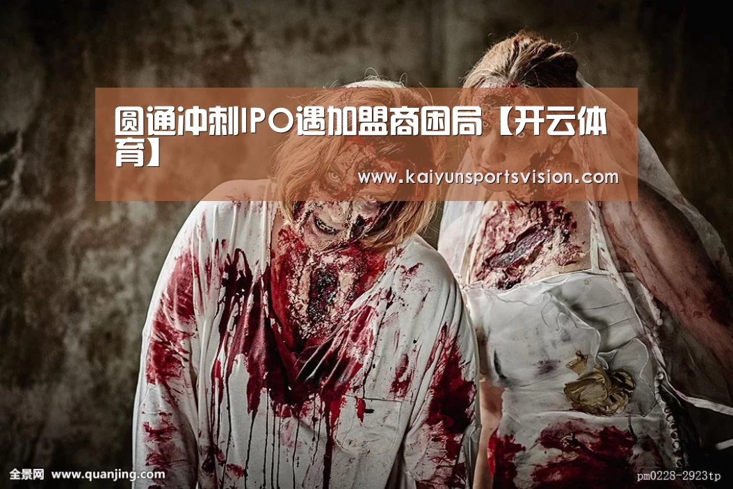 开云入口