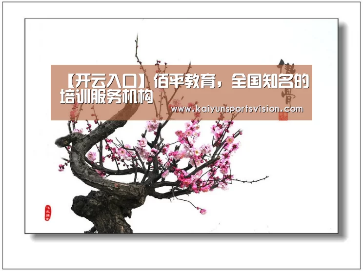 开云入口