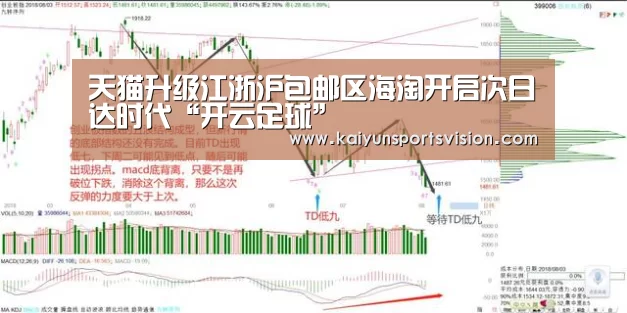 开云入口