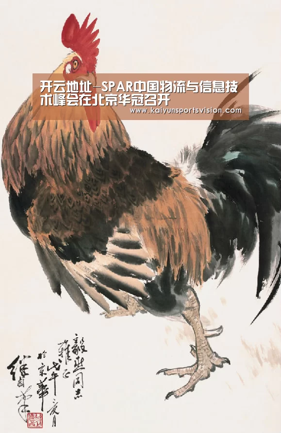开云体育