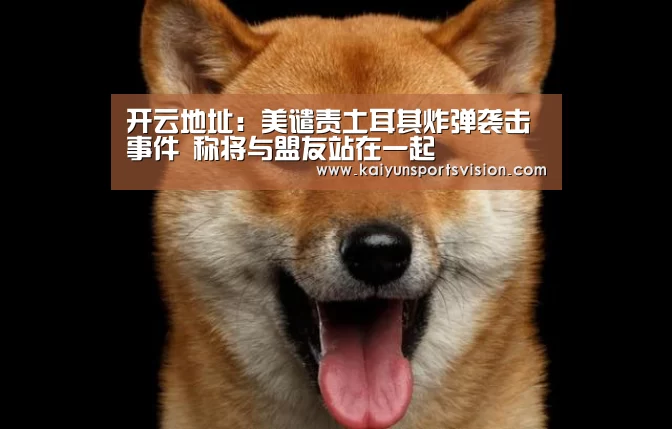 开云地址:美谴责土耳其炸弹袭击事件 称将与盟友站在一起(图4) 开云地址